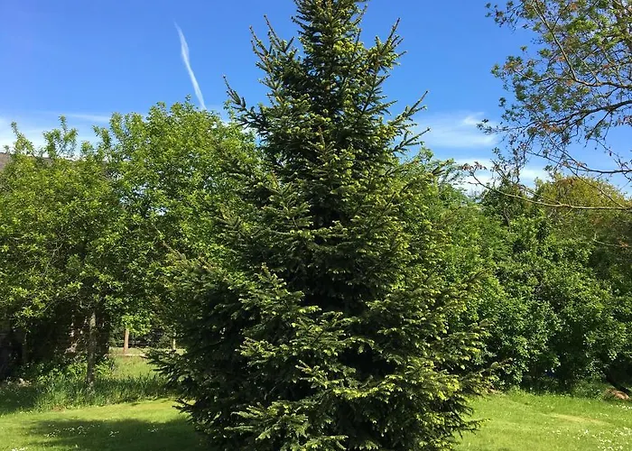 Lieu Le Jardin בית נופש Saint-Lambert (Calvados)